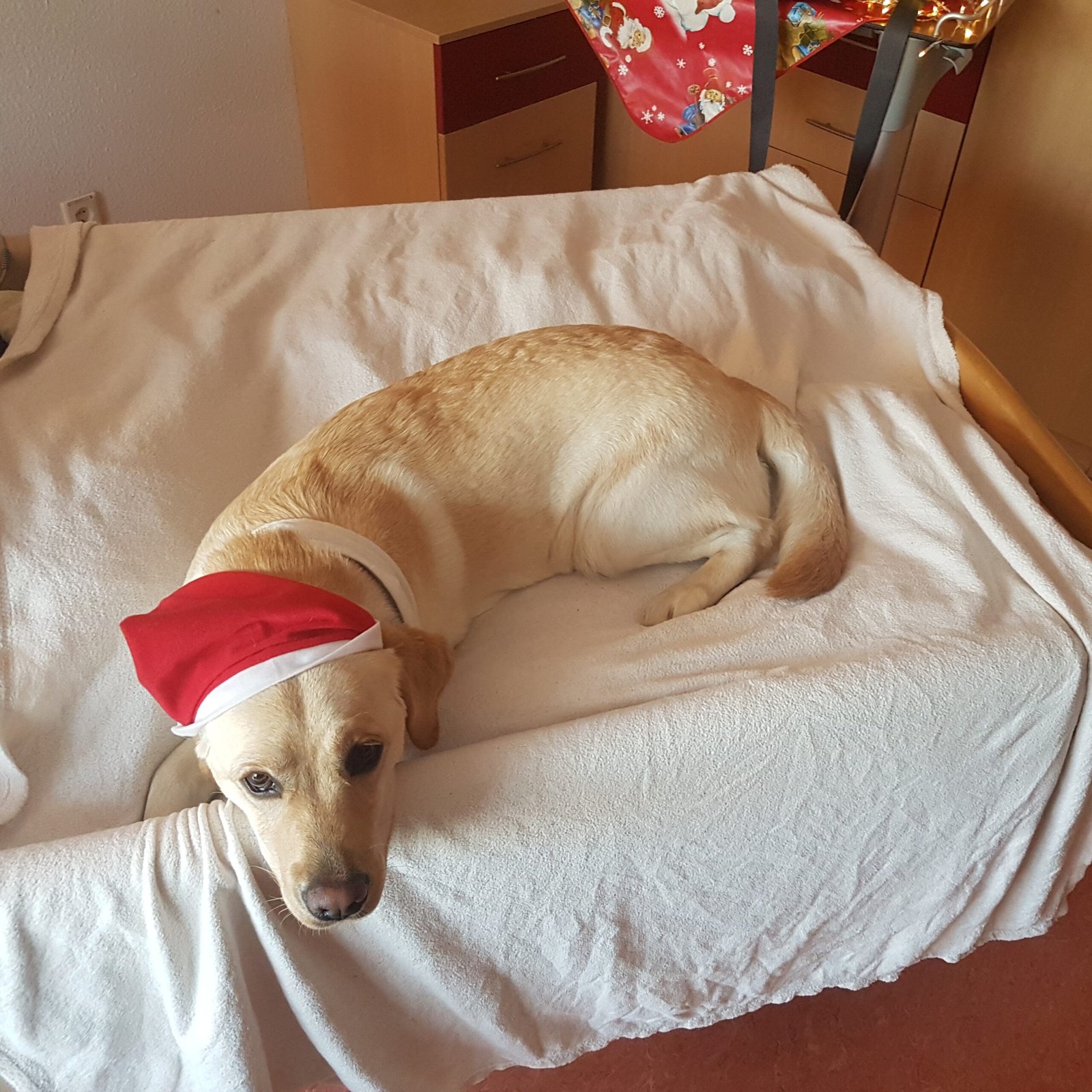 Weihnachtszeit fröhliche Zeit