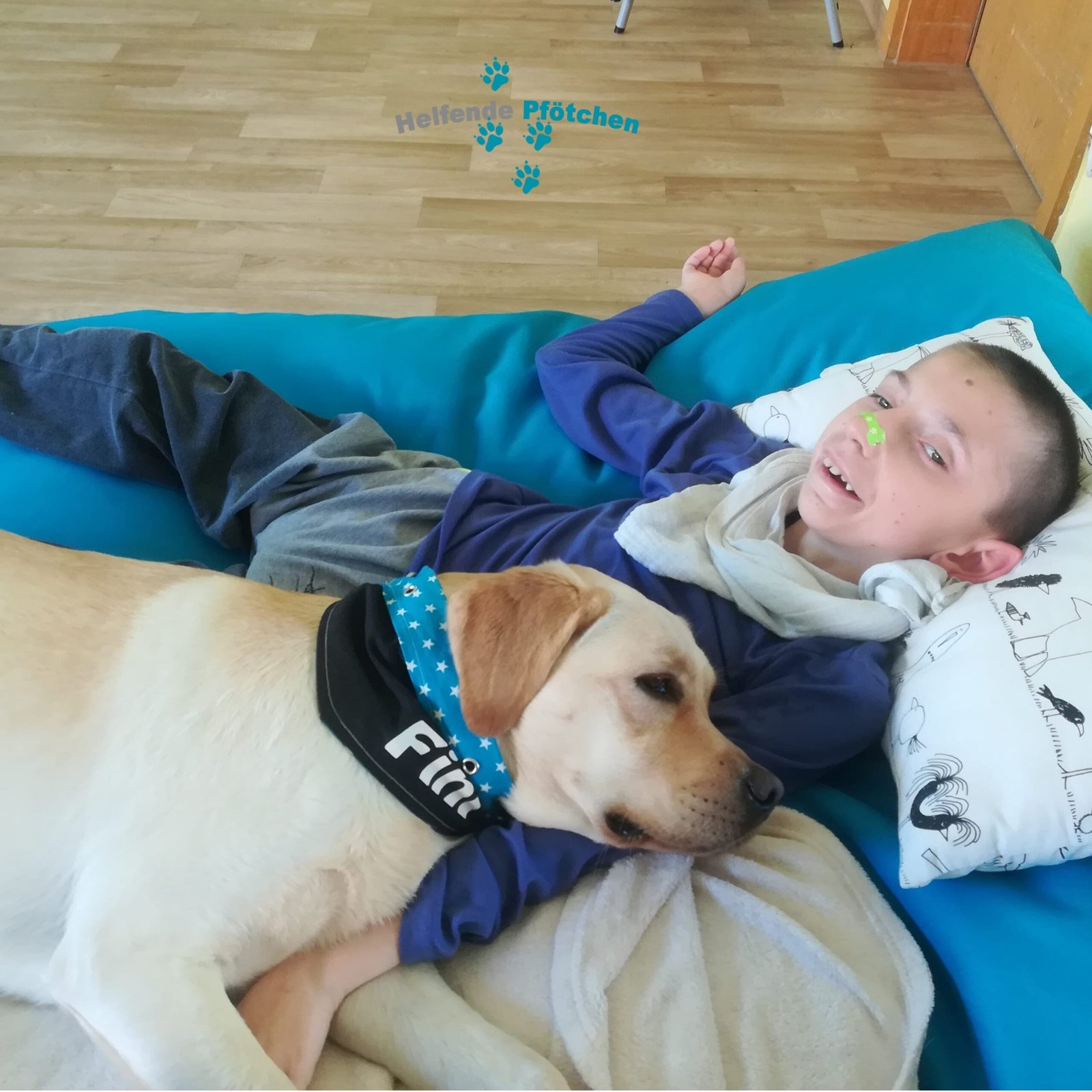 Helfende Pfötchen – Einsatz in der Förderschule