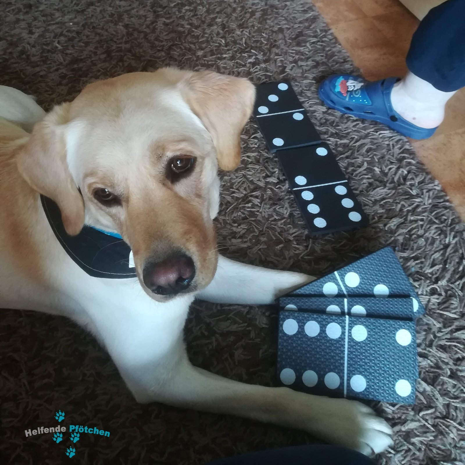 Punkte finden mit Kira und Fini – XXL-Spiele